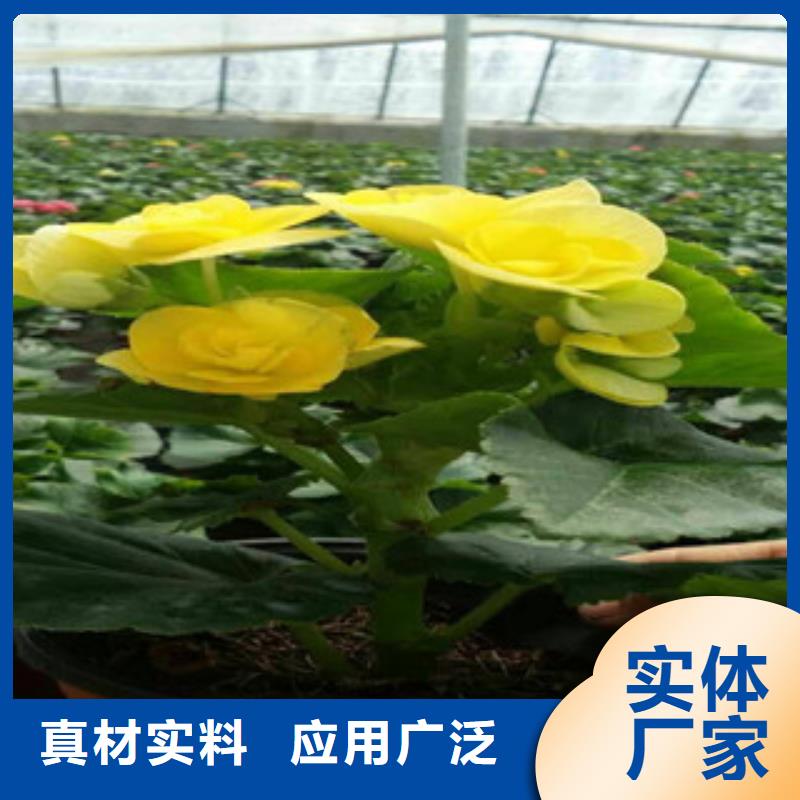 花海设计哪家好