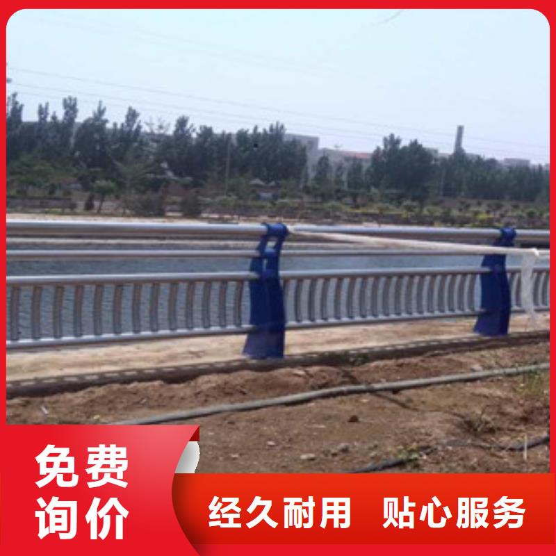 规格齐全的道路护栏供货商