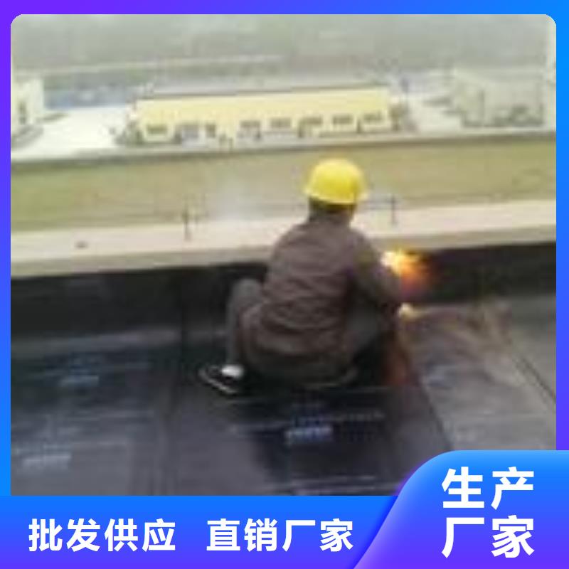 发货速度快的楼面防水厂家