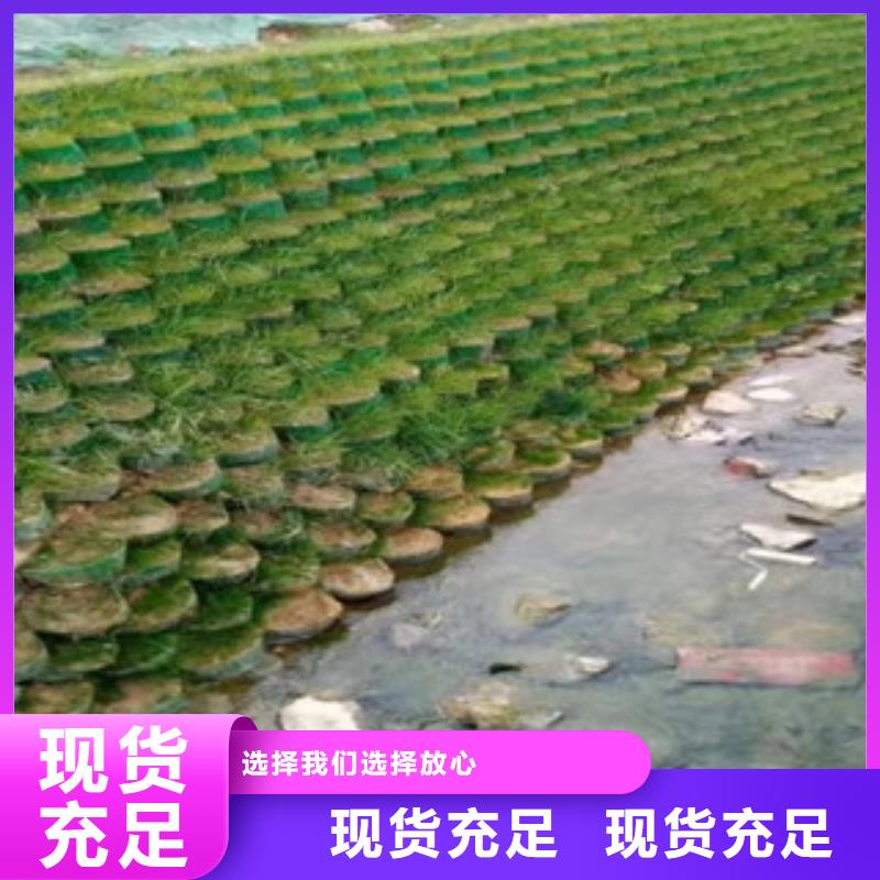 土工格室厂家-性价比高