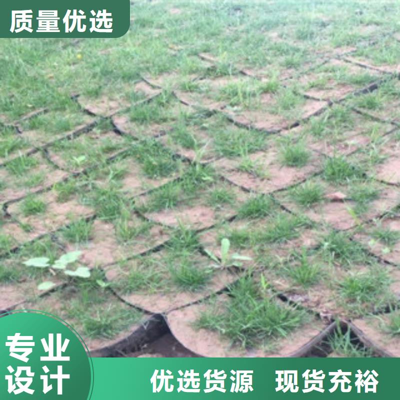 土工格室技术