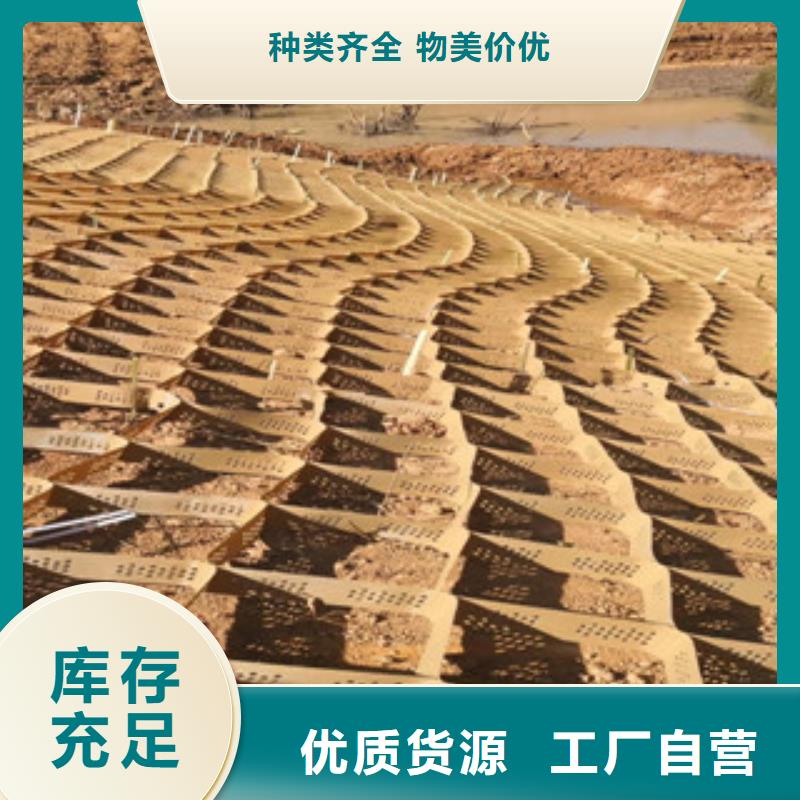 专业销售土工格室-品牌