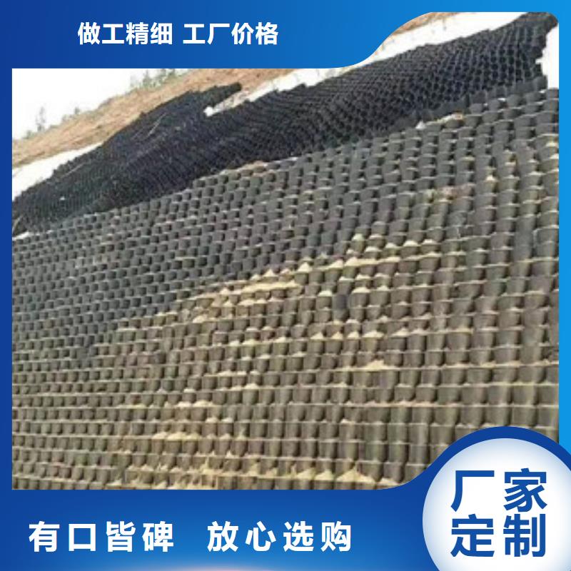土工格室-土工格室实体厂家