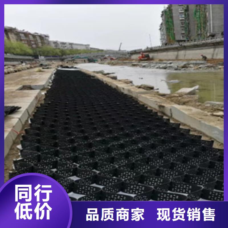 卖土工格室的生产厂家