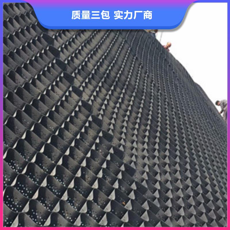 土工格室大企业