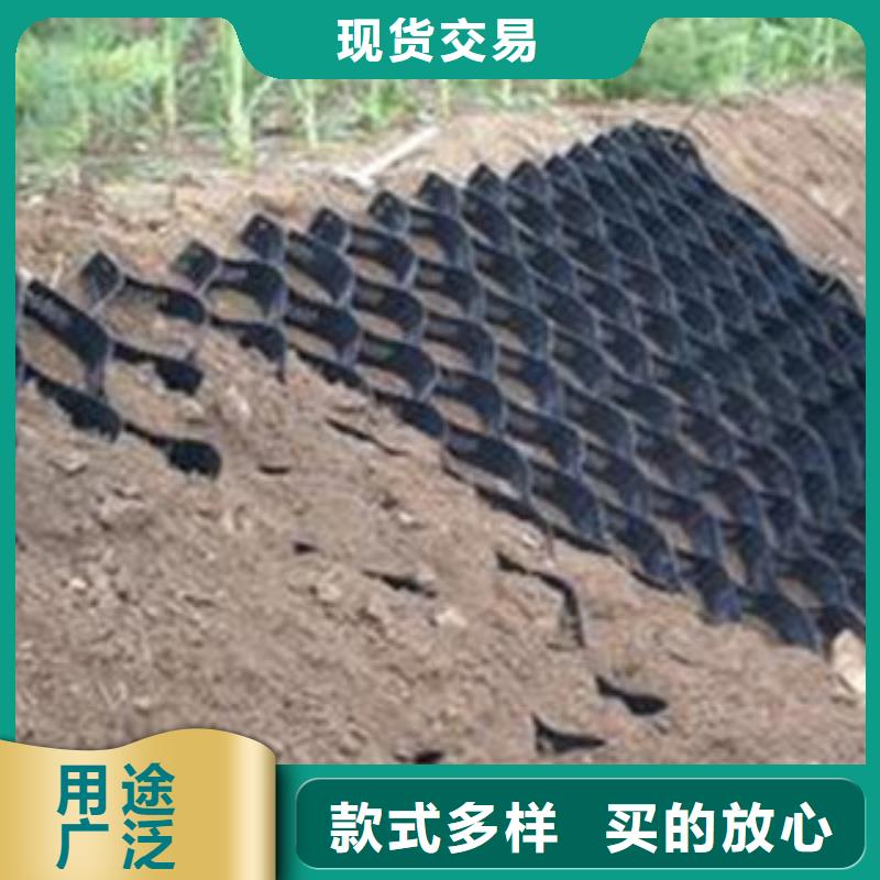 卖土工格室的生产厂家
