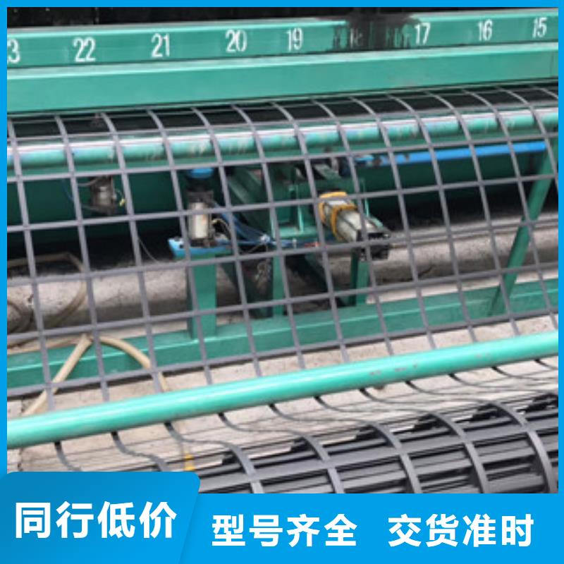 现货供应钢塑土工格栅_厂家/供应同城厂家