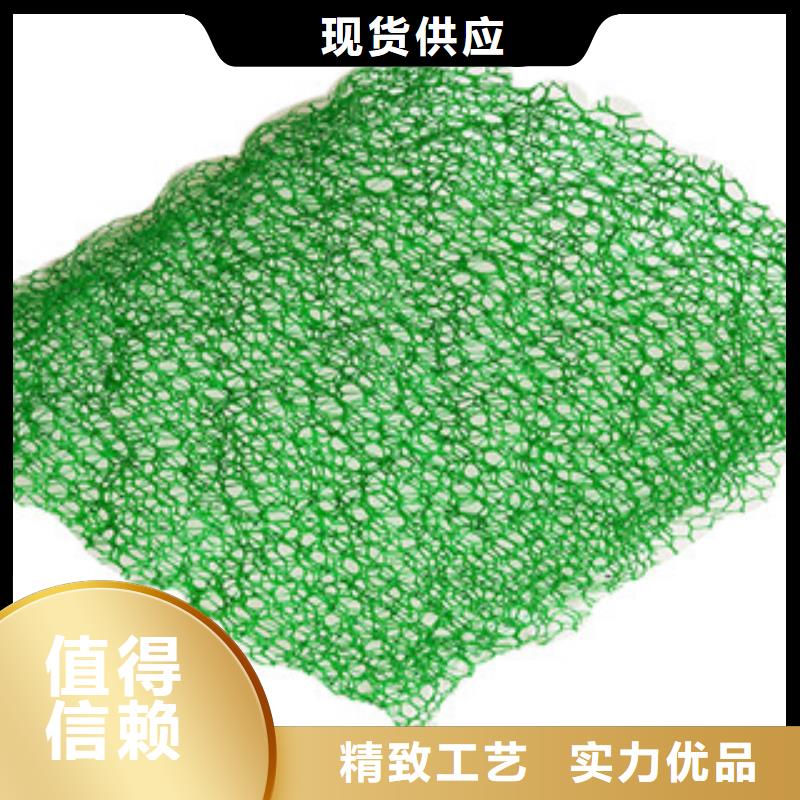 三维植被网厂家，货源足
