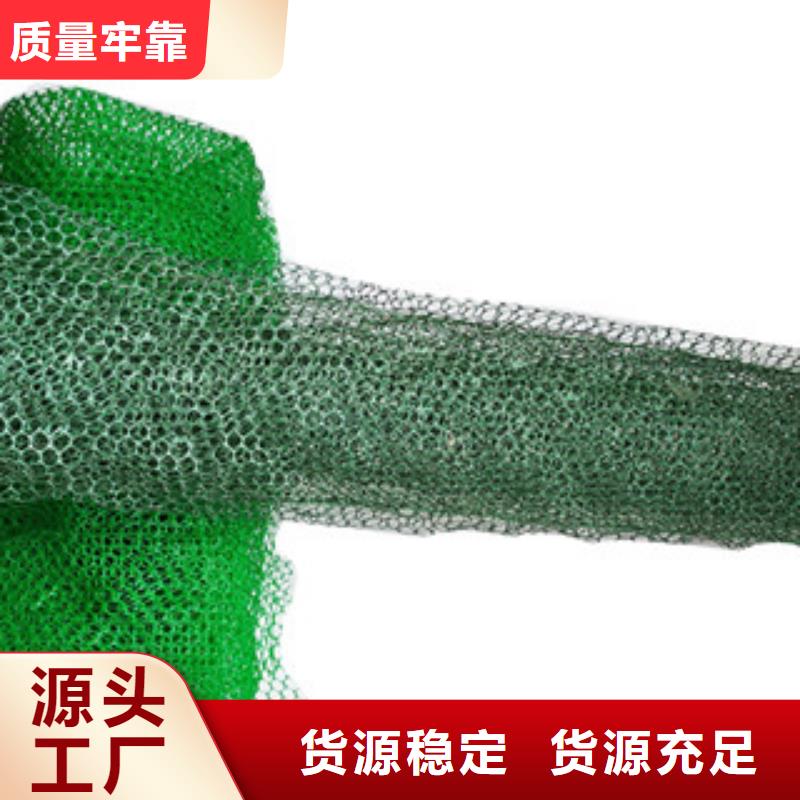 三维植被网实体生产厂家