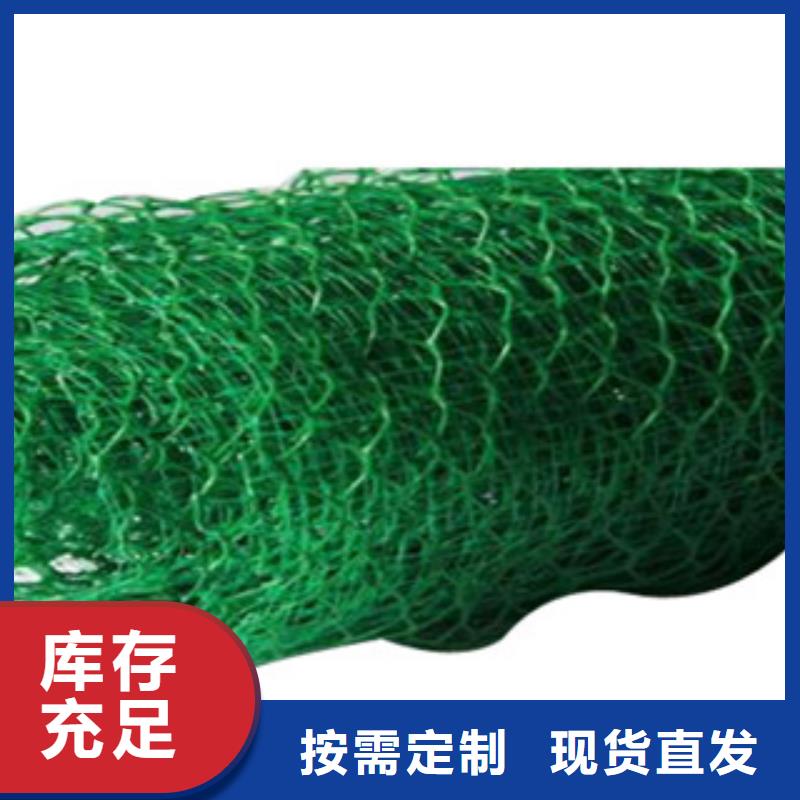 三维植被网、三维植被网厂家-认准润杰工程材料有限公司