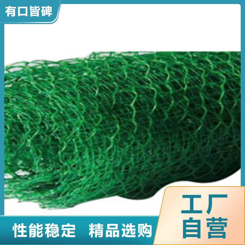 销售三维植被网来图定制量大从优