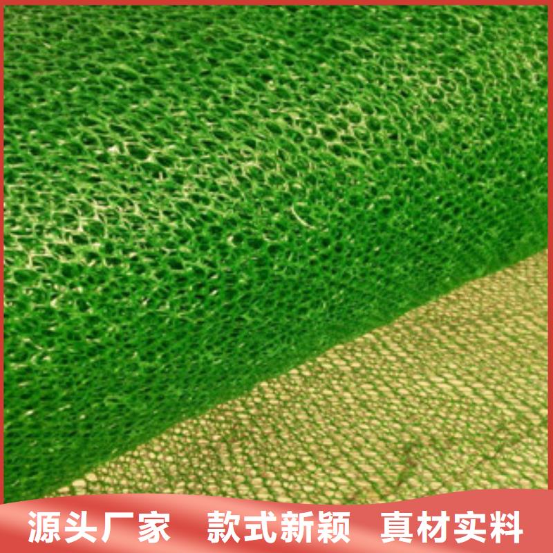 三维植被网、三维植被网厂家-欢迎新老客户来电咨询