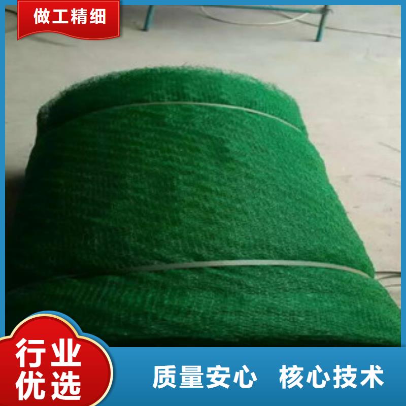 三维植被网、三维植被网厂家现货