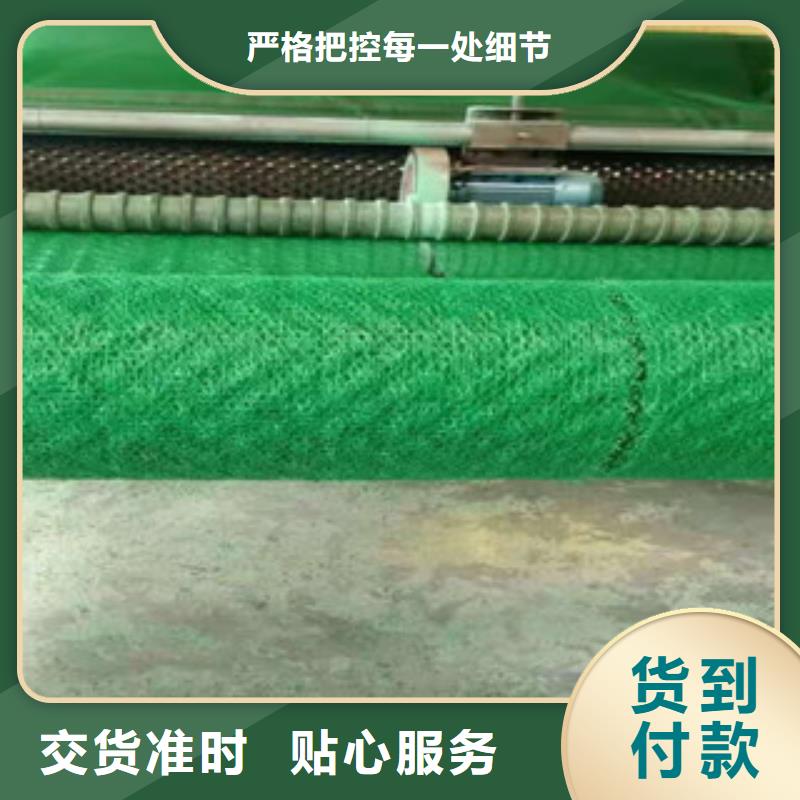 三维植被网供货及时保证工期
