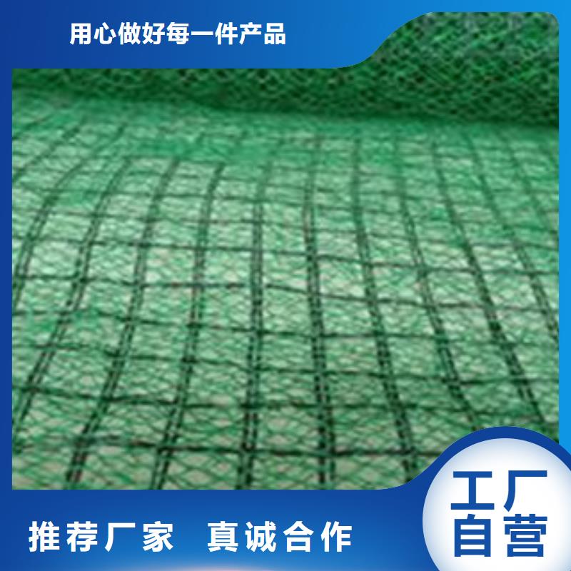 三维植被网生产厂家有样品
