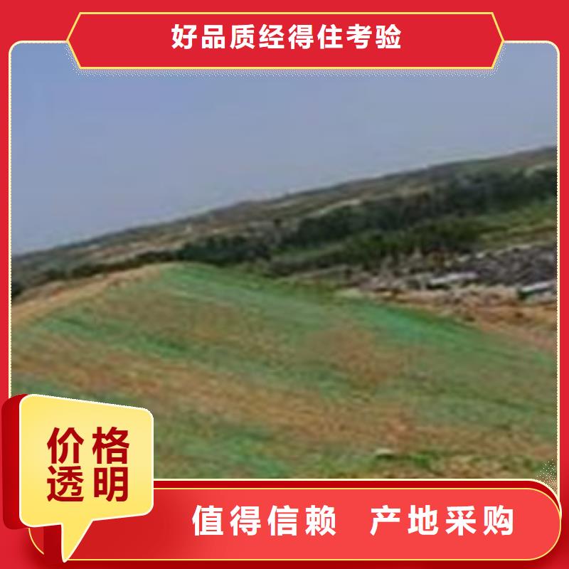 三维植被网-三维植被网现货供应