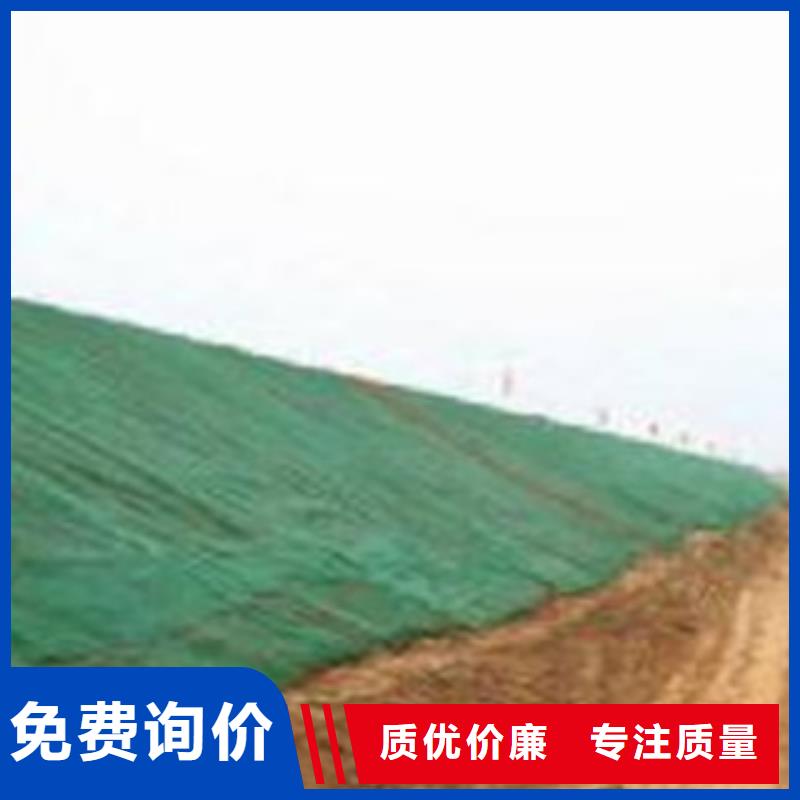 找三维植被网生产厂家