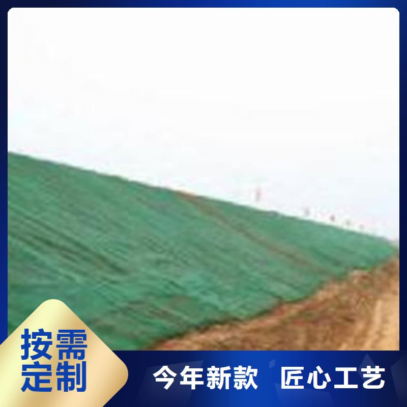 三维植被网、三维植被网厂家-欢迎新老客户来电咨询