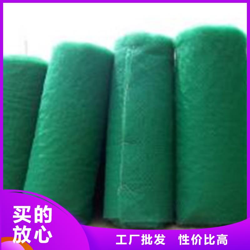 三维植被网安装