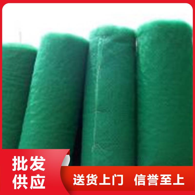 三维植被网价格合适