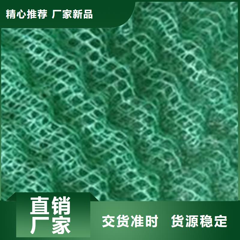 三维植被网重信誉厂家