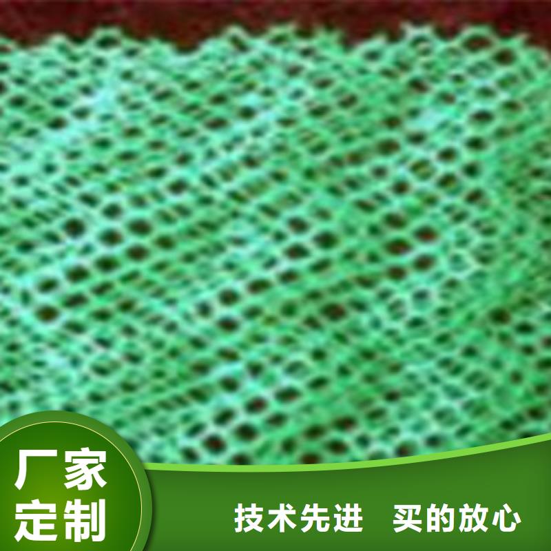三维植被网生产厂家-值得信赖