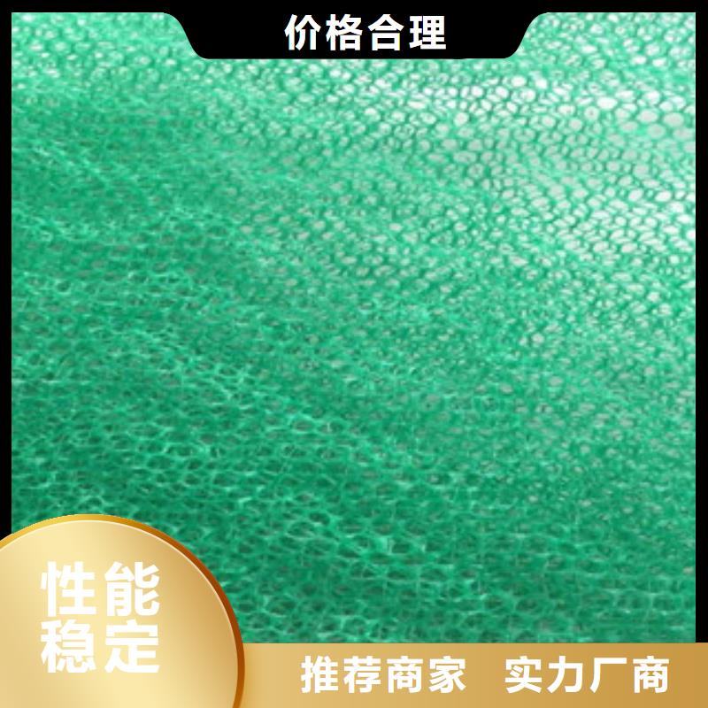 三维植被网大量现货供应