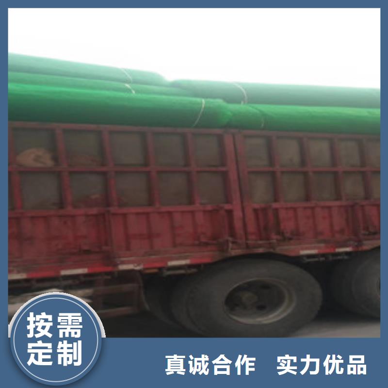 碌曲三维植被网-质量保证