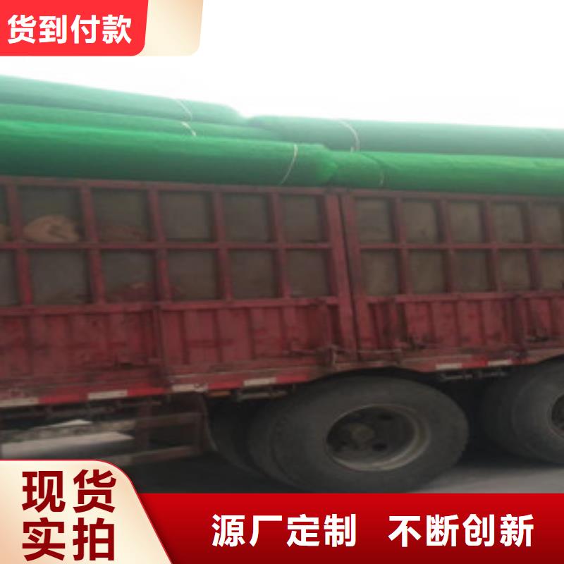 专业销售三维植被网-全国配送