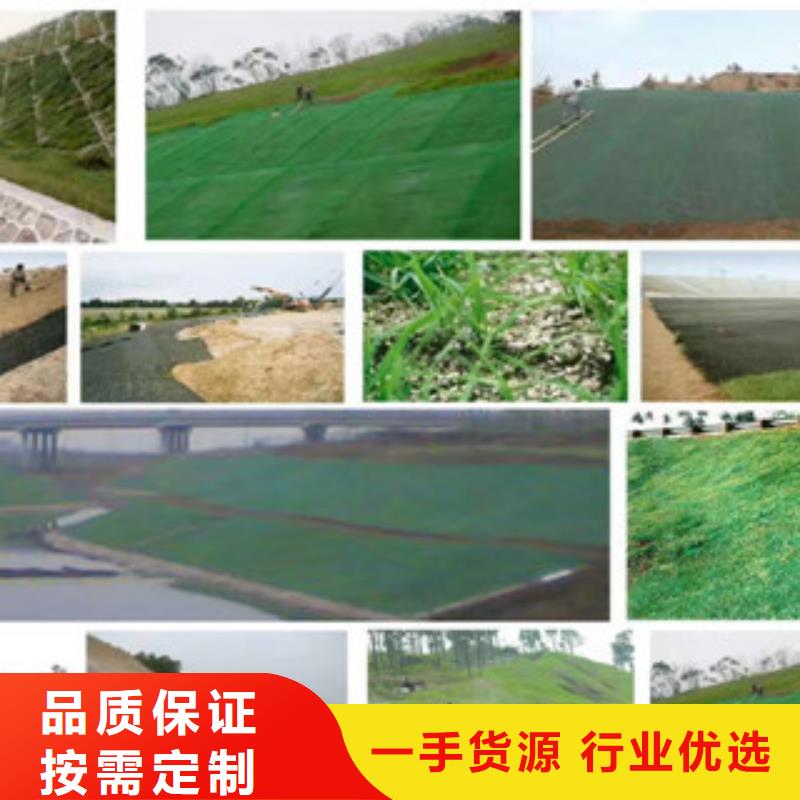 三维植被网价格|厂家