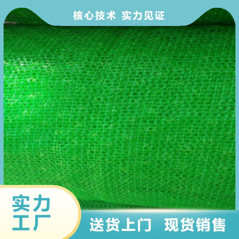 三维植被网厂价批发