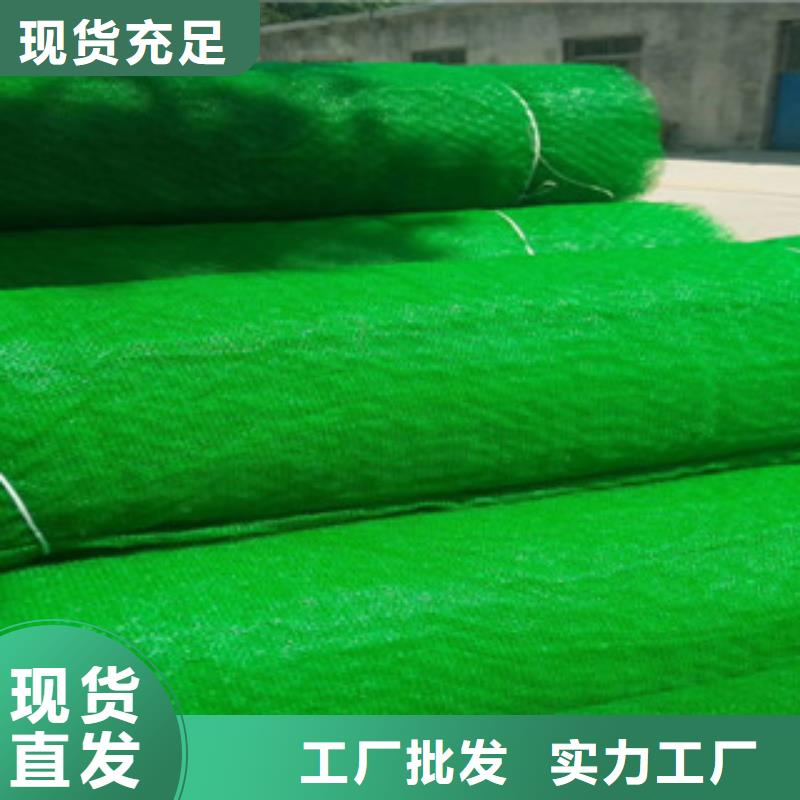 三维植被网重信誉厂家