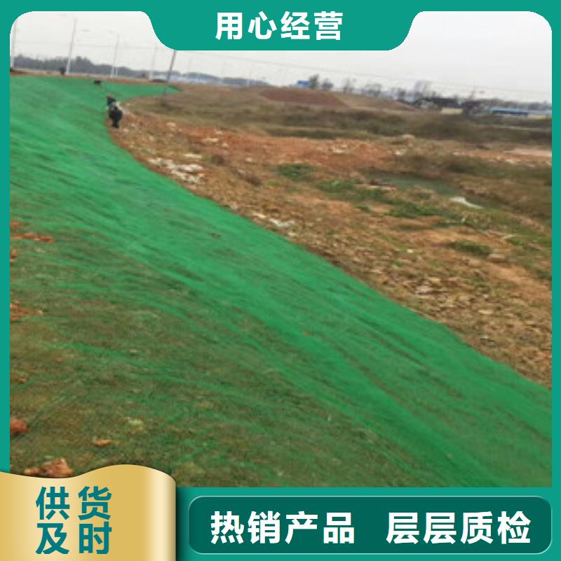 三维植被网超高性价比精工细作品质优良