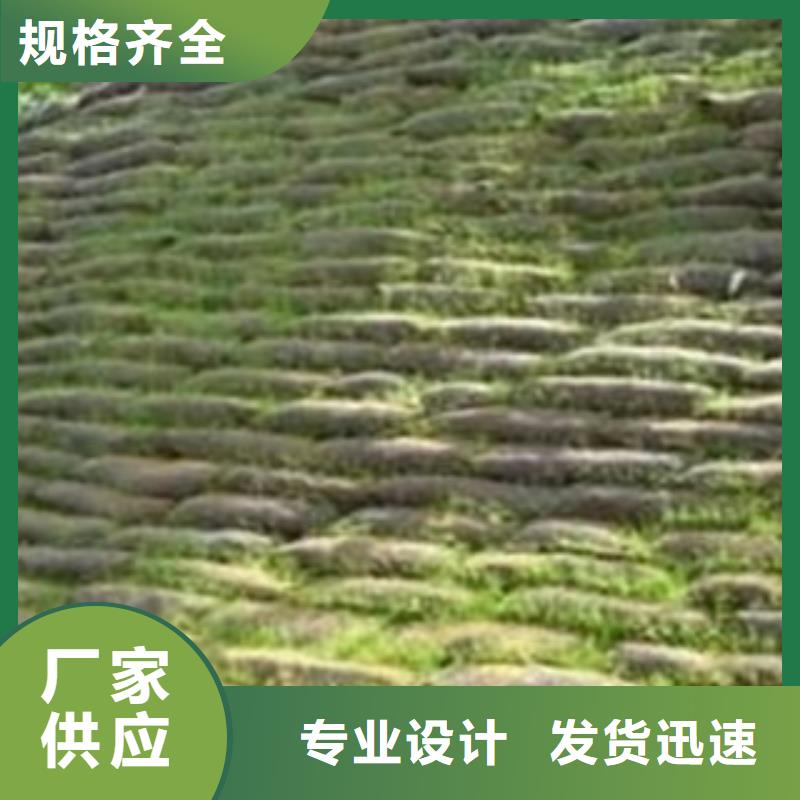 生态袋厂家价格低