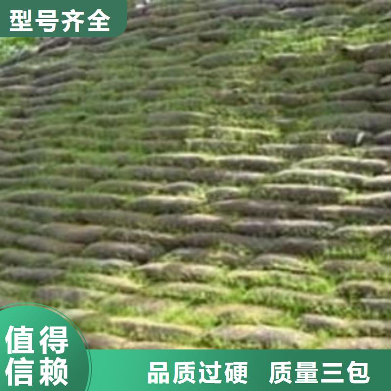 生态袋价低同行