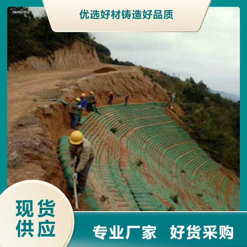 生态袋品质与价格