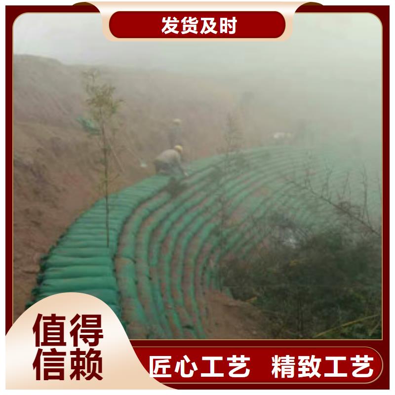 生态袋热销好货