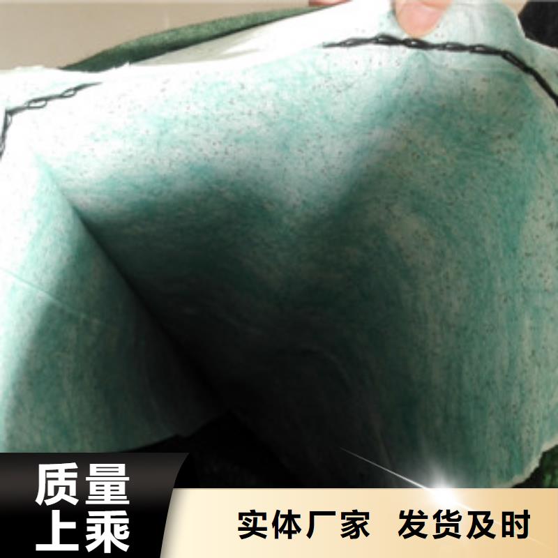 生态袋热销好货