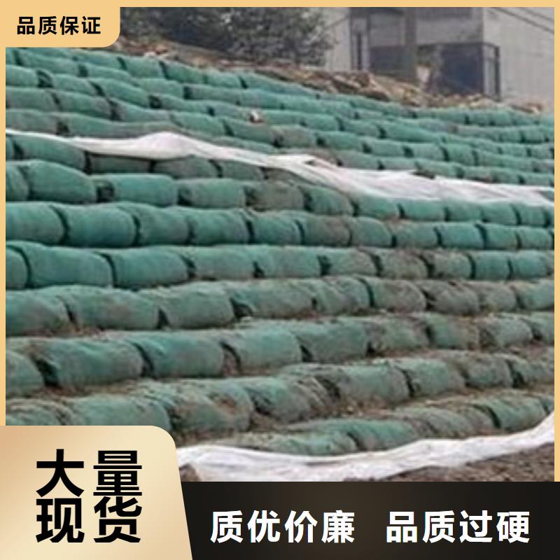 生态袋厂家服务完善