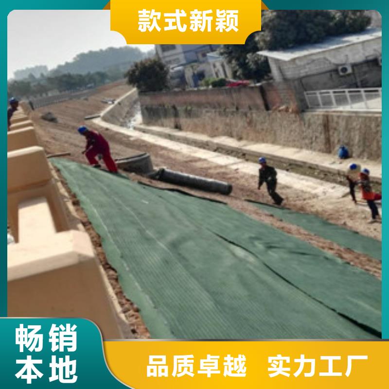 选生态袋全国统一价