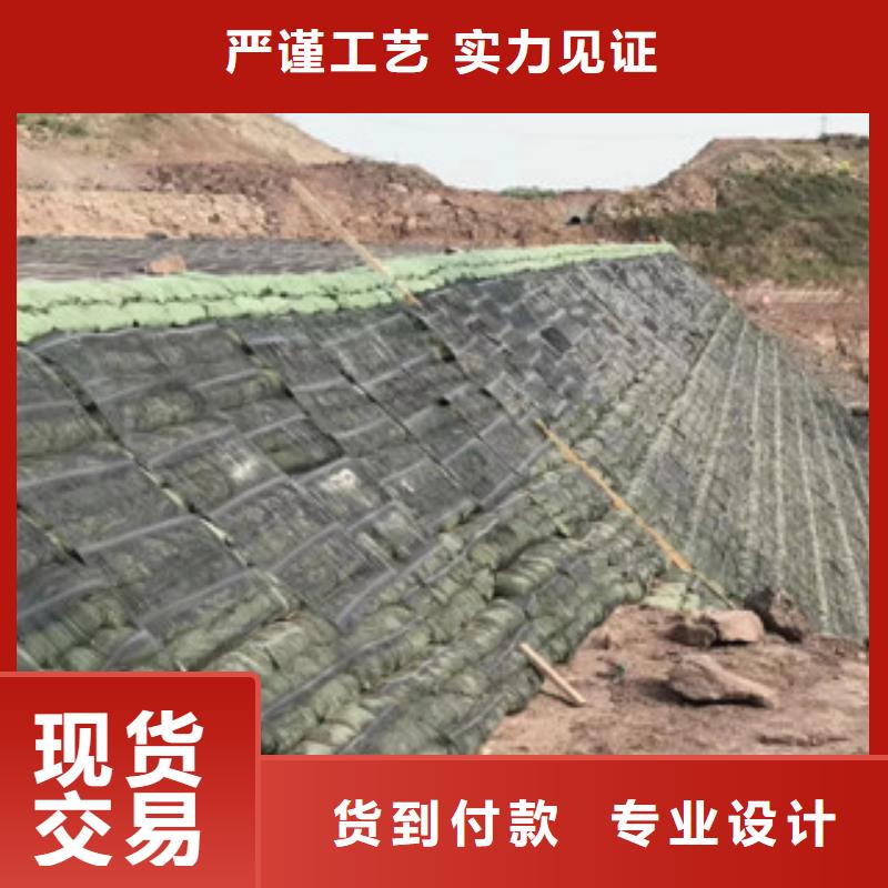 碧江塑料格栅-塑料格栅直销