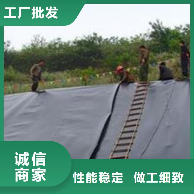 土工膜源头厂家本地报价更优惠用品质赢得客户信赖