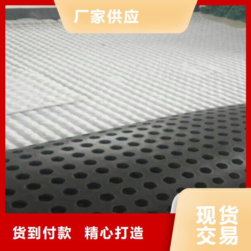 专业销售排水板-价格优惠