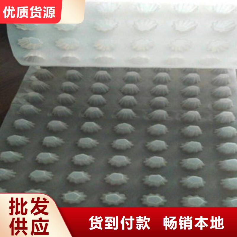 批发排水板的厂家