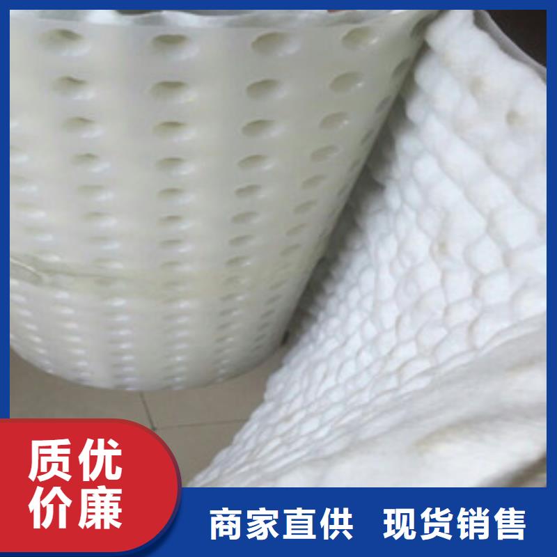 排水板厂家直售
