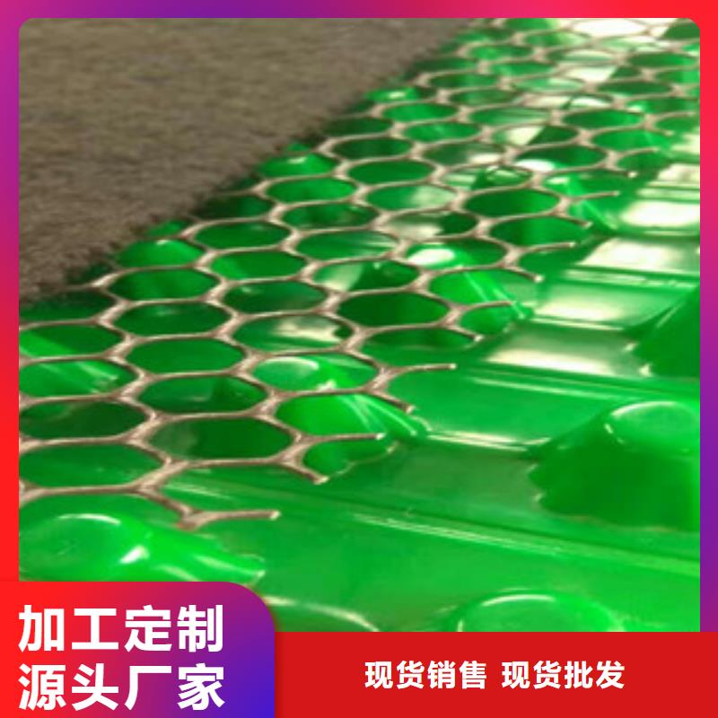 专业销售排水板-价格优惠