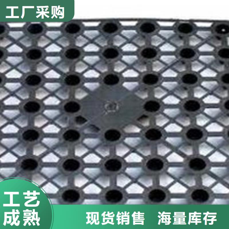 排水板-排水板实体厂家
