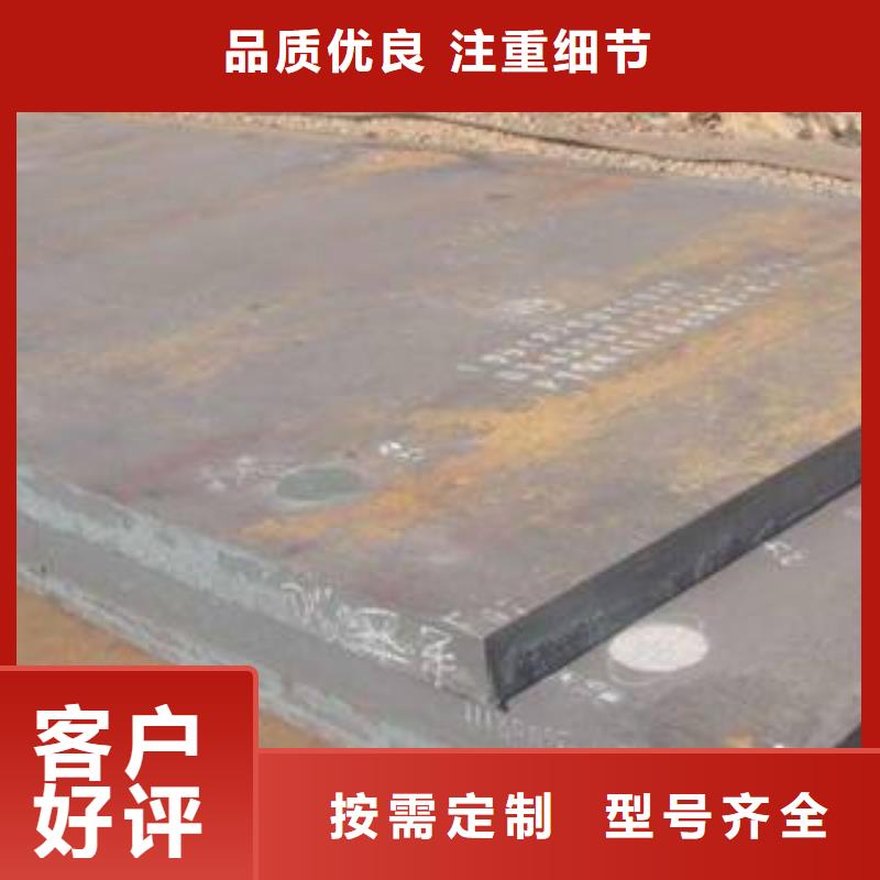 高强板新品上市