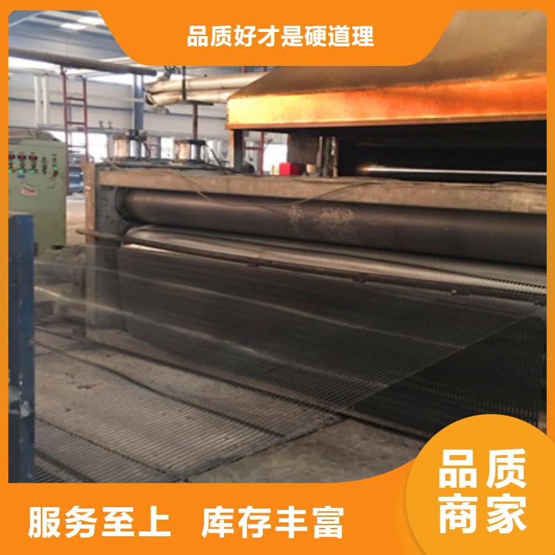玻纤土工格栅-物优价廉做工精细