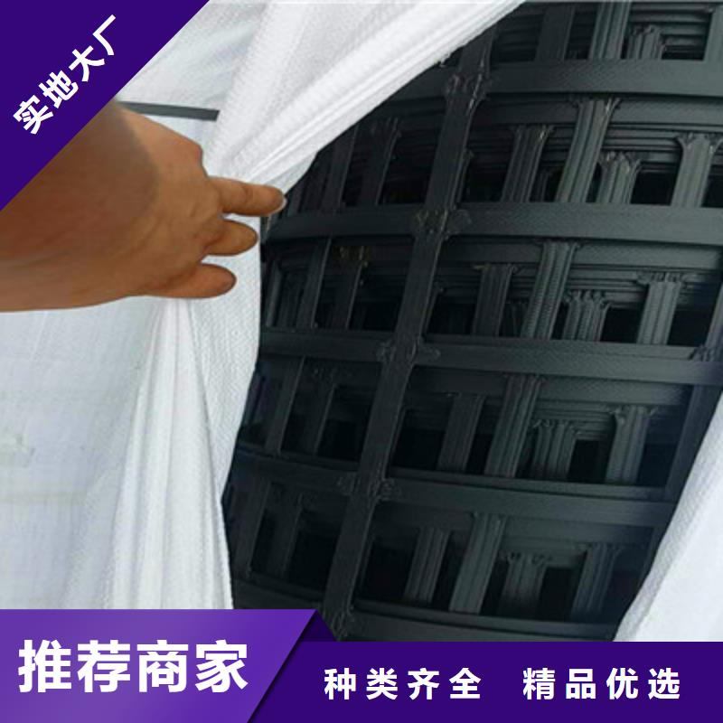 玻纤土工格栅实体大厂大品牌值得信赖